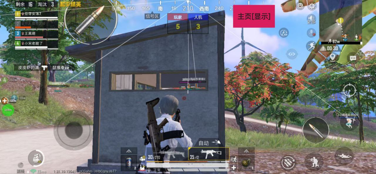 和平精英【EAD内部】辅助